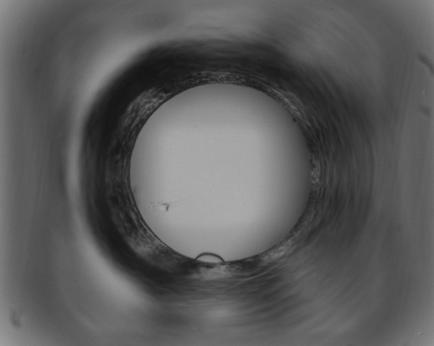 X0000094080430200710190922