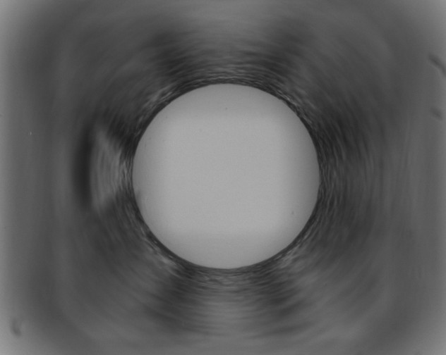 X0000094080431200710190922