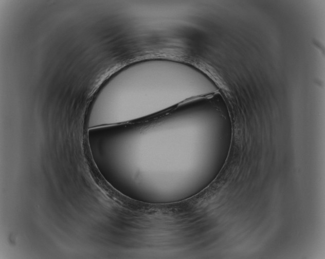 X0000094080434200710190921