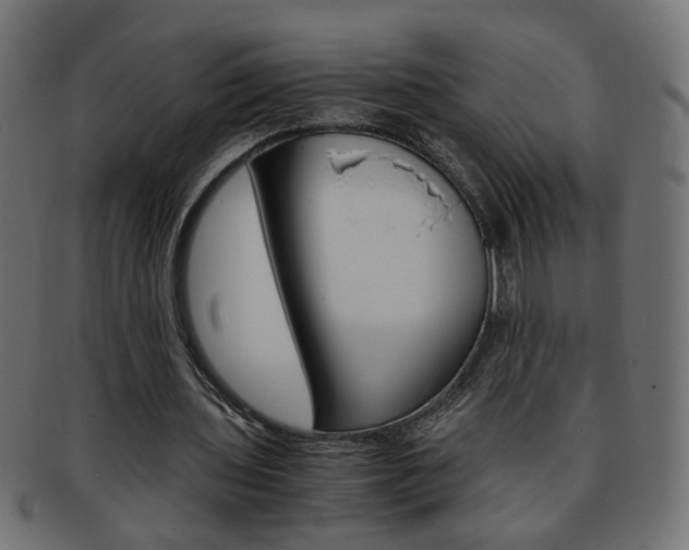 X0000094080435200710190921