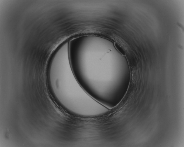 X0000094080436200710190921