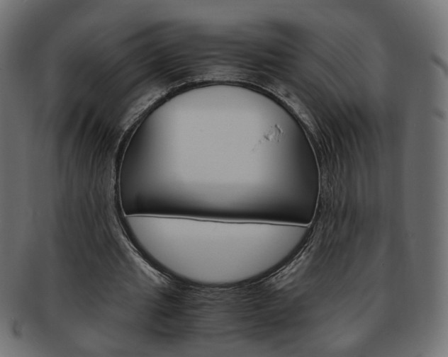 X0000094080437200710190921