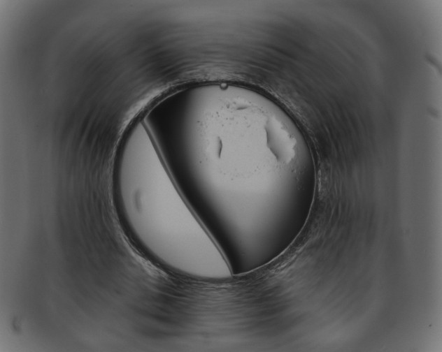 X0000094080438200710190921
