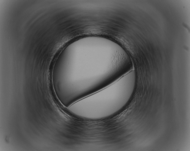 X0000094080439200710190921