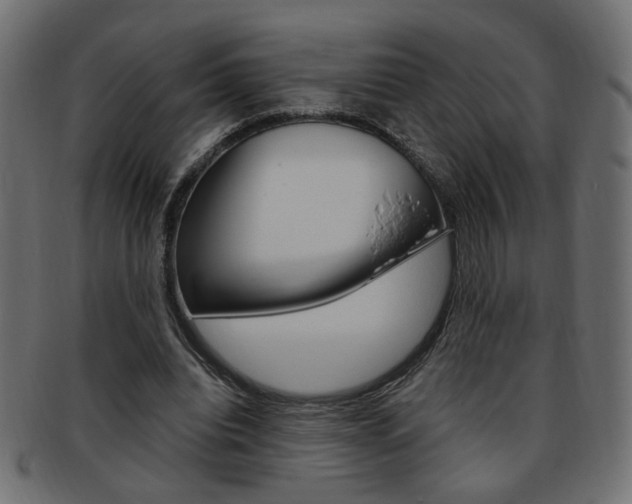 X0000094080440200710190921