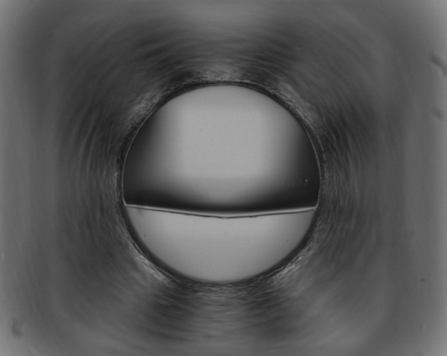 X0000094080441200710190921
