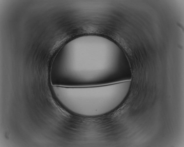 X0000094080442200710190921