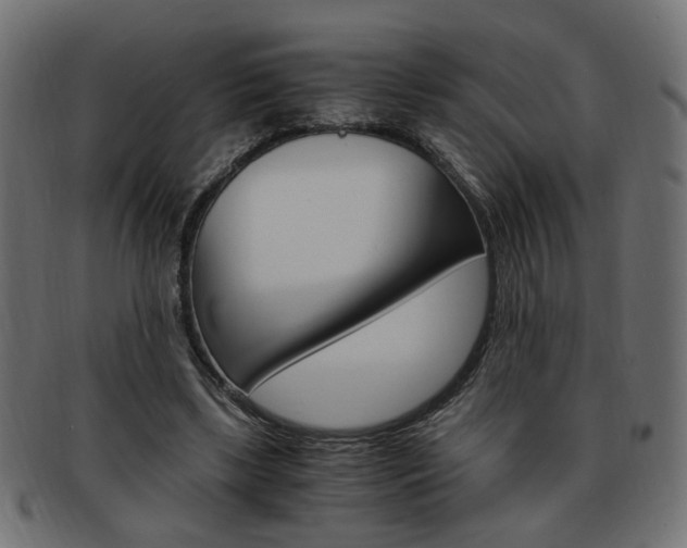 X0000094080443200710190921