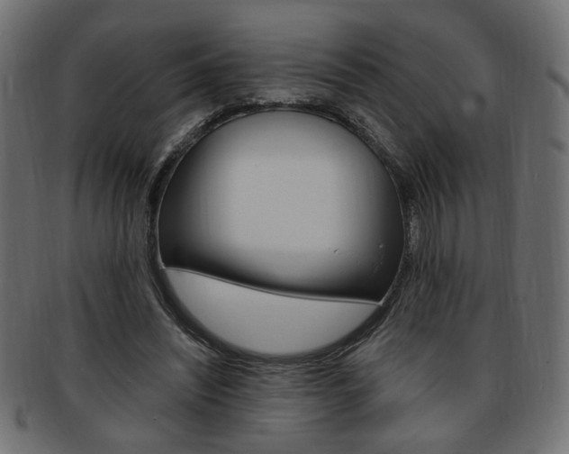 X0000094080444200710190921