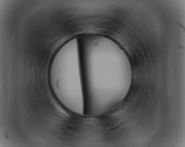 X0000094080445200710190921