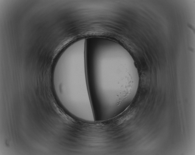 X0000094080446200710190921