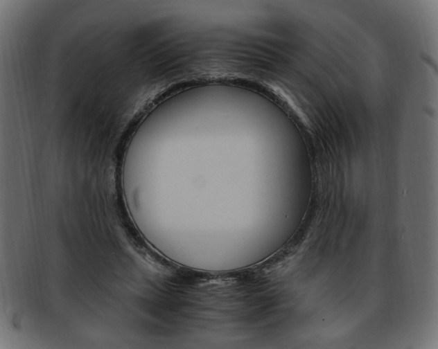 X0000094080447200710190921