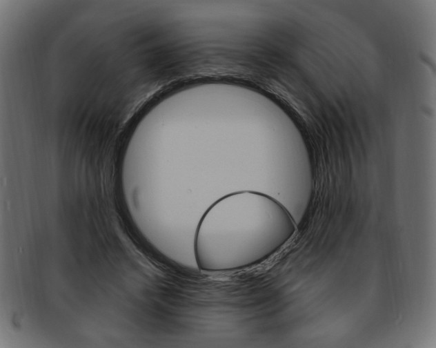 X0000094080448200710190921