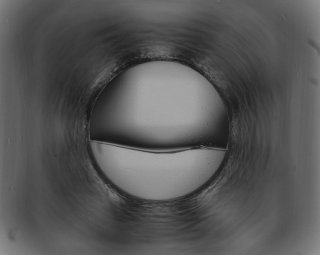 X0000094080449200710190921