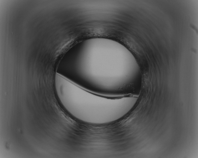 X0000094080450200710190921