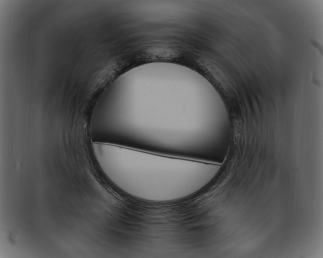 X0000094080451200710190921