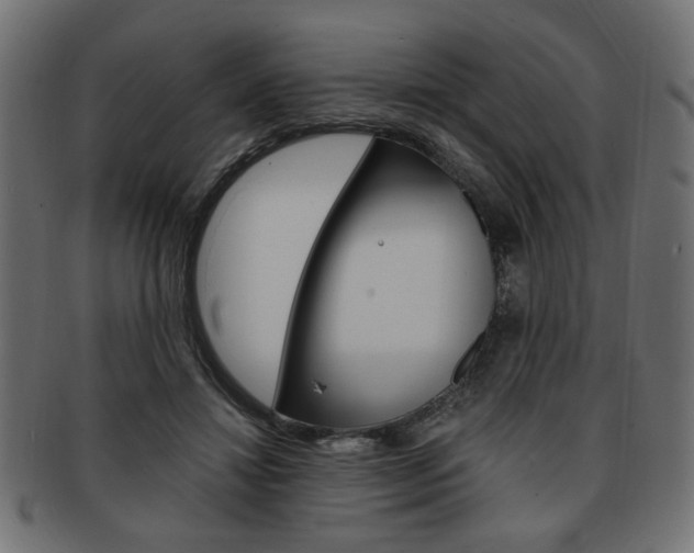 X0000094080452200710190921