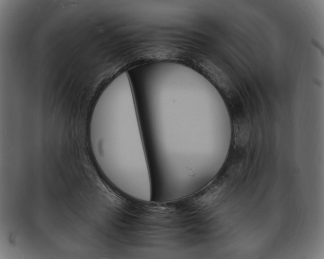 X0000094080453200710190921