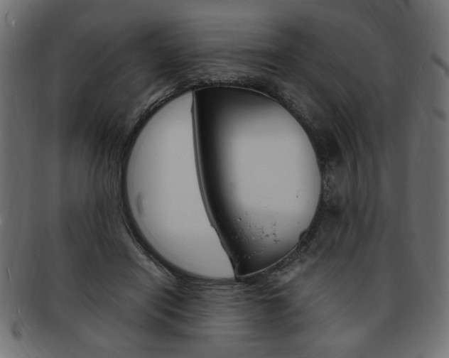 X0000094080454200710190921