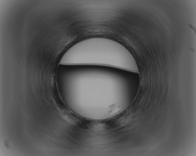 X0000094080456200710190922