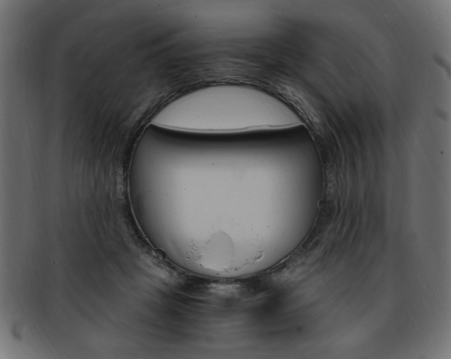 X0000094080457200710190922