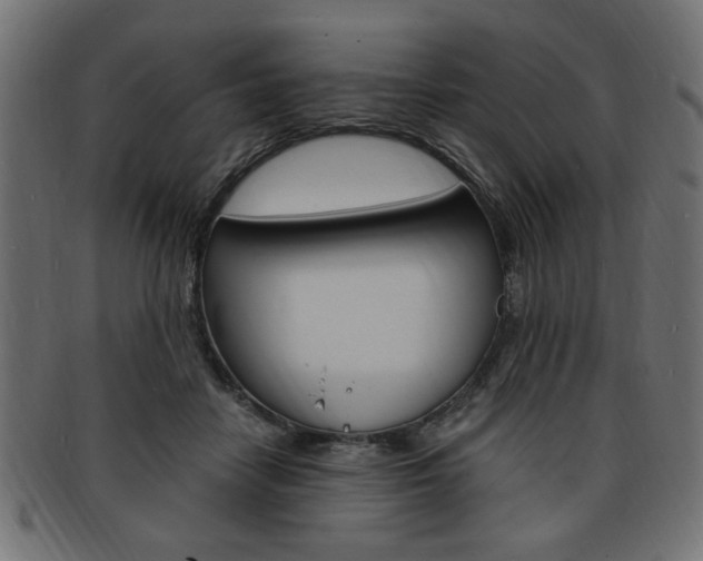 X0000094080458200710190922
