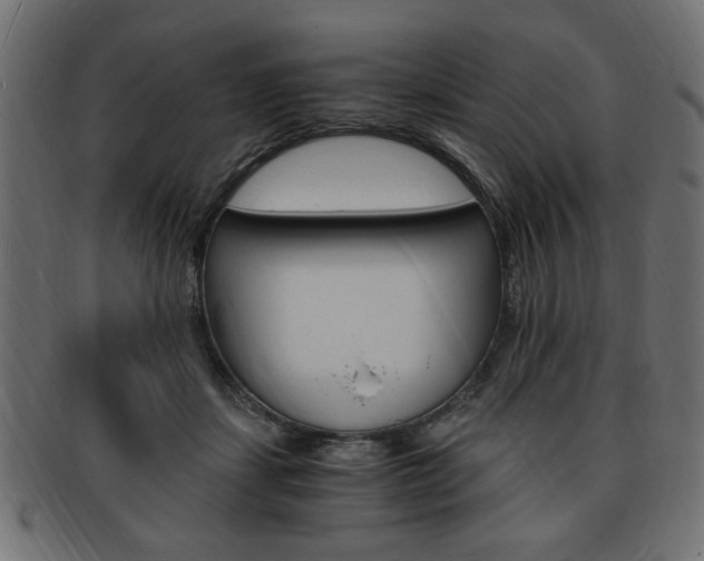 X0000094080459200710190922