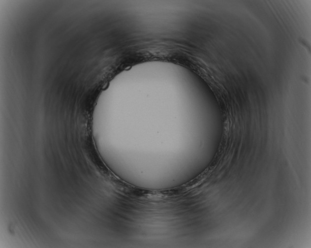 X0000094080464200710190922