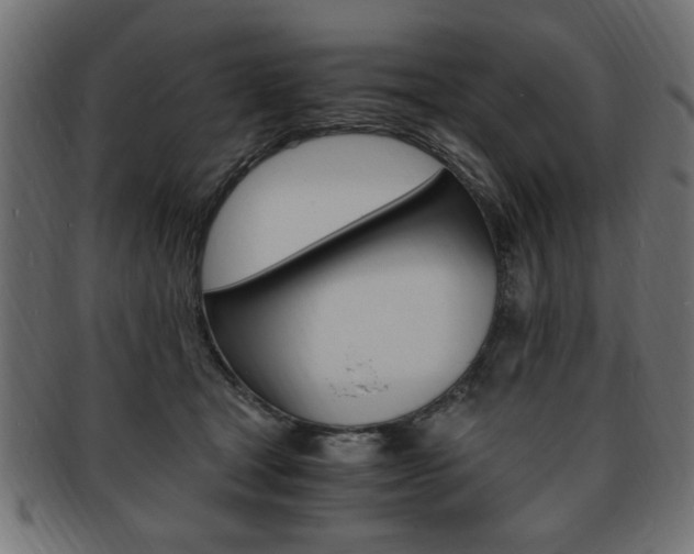 X0000094080465200710190922