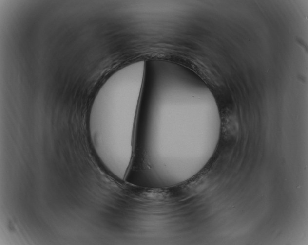 X0000094080466200710190922