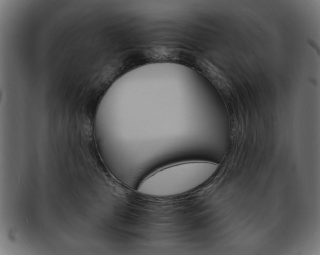 X0000094080469200710190922