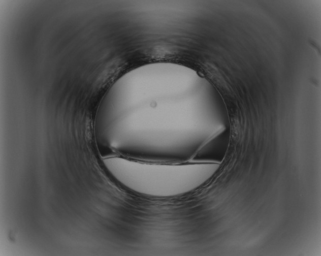 X0000094080470200710190922