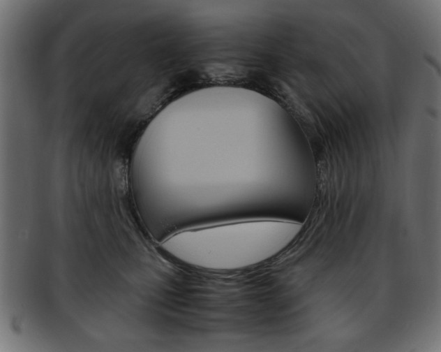 X0000094080471200710190922