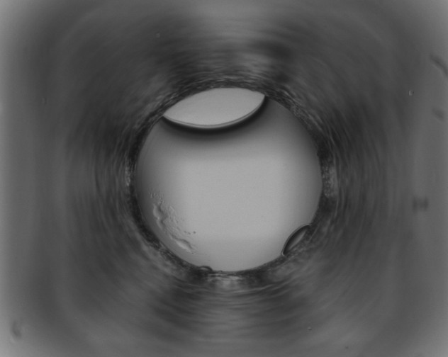 X0000094080472200710190922