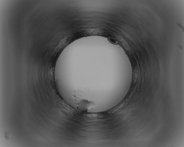 X0000094080473200710190922