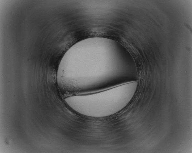 X0000094080474200710190922