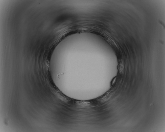 X0000094080476200710190922