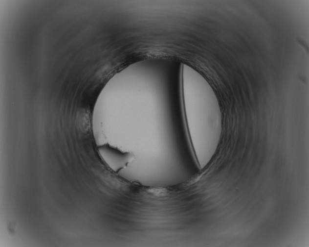X0000094080478200710190922