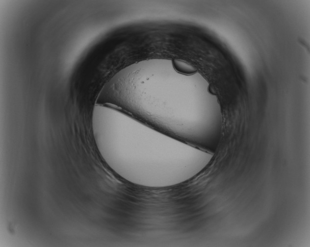 X0000094080479200710190922