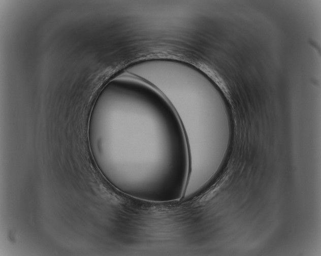 X0000094080481200710190921