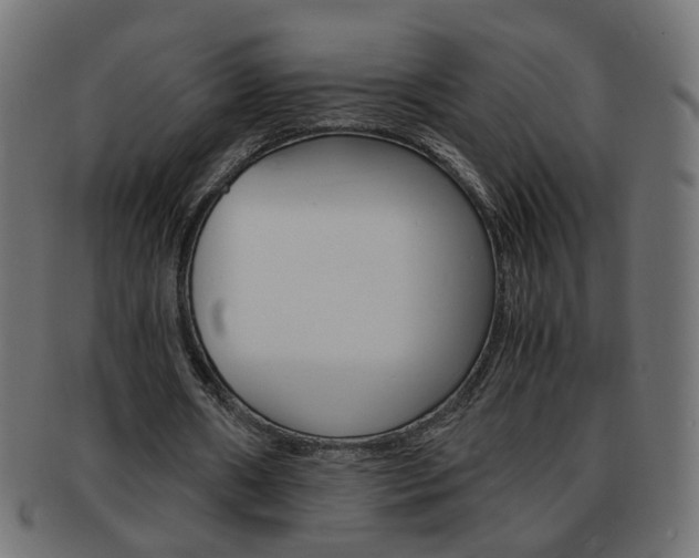 X0000094080482200710190921