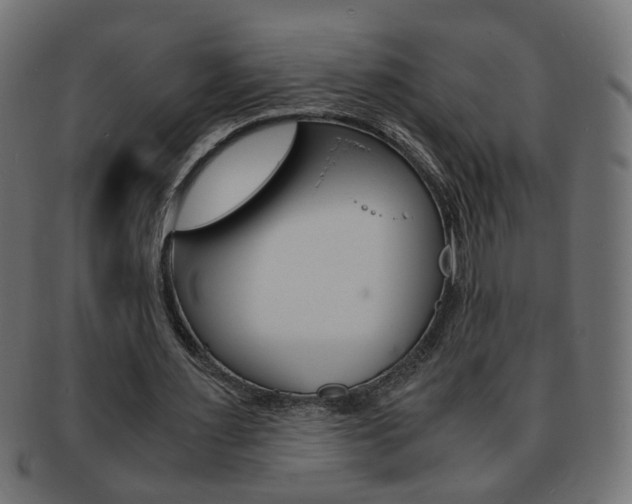 X0000094080483200710190921