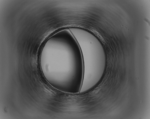 X0000094080484200710190921