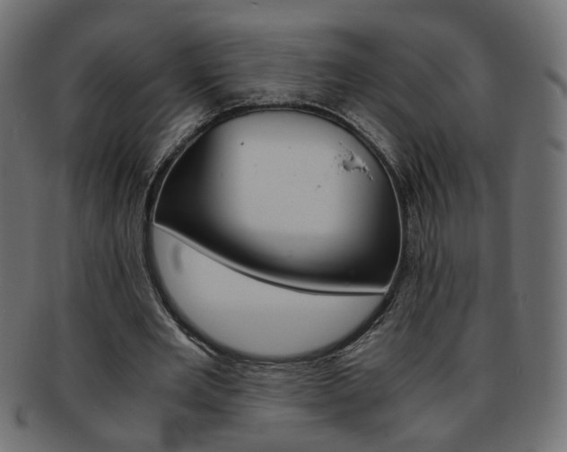 X0000094080485200710190921
