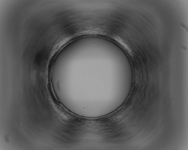 X0000094080486200710190921