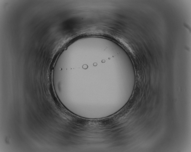 X0000094080487200710190921