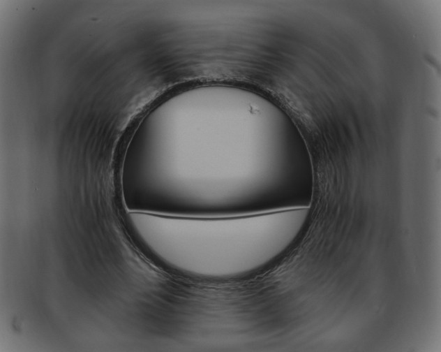 X0000094080488200710190921
