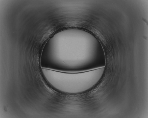 X0000094080489200710190921