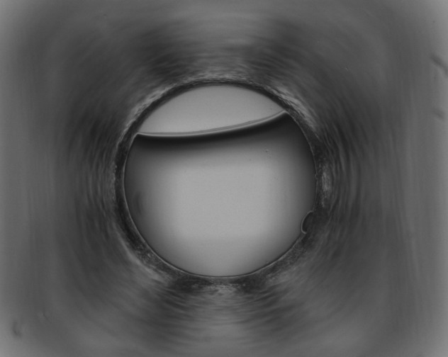 X0000094080492200710190921