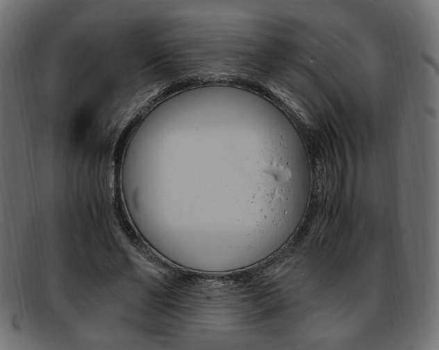 X0000094080494200710190921